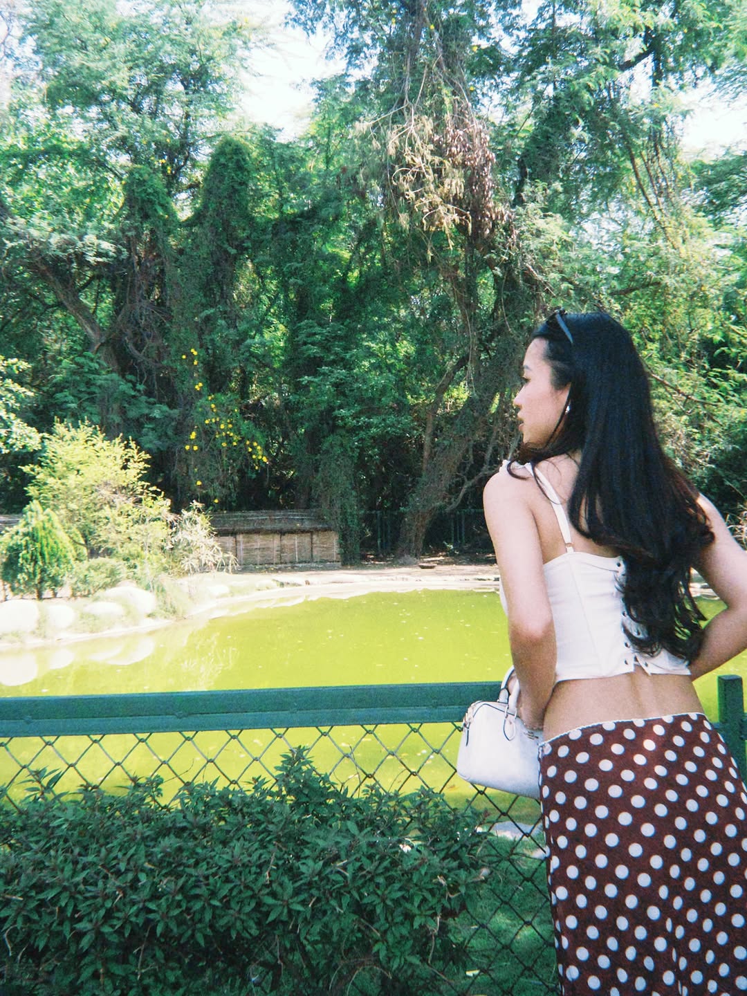 Customer photo 3 of Mesh Low Rise Polka Dot Bowknot Mermaid Skirt
