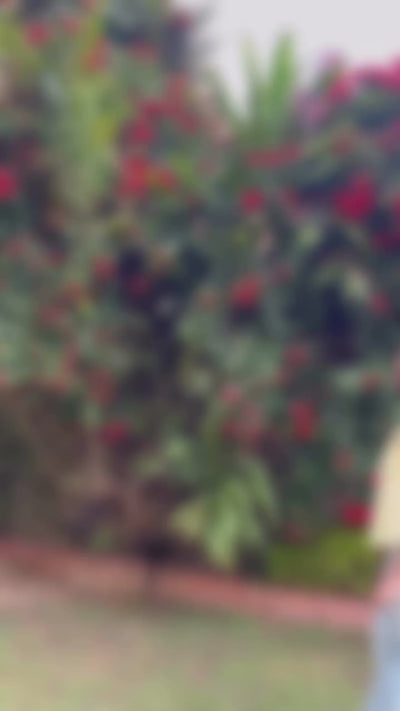 Video 1