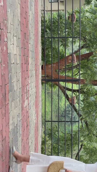 Video 1