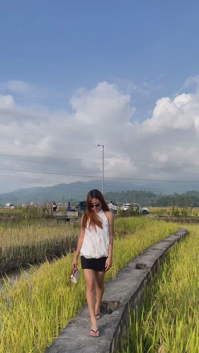 Video 1