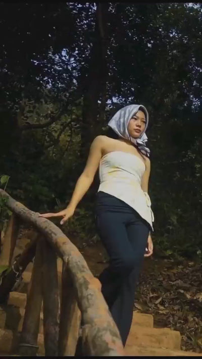 Video 1