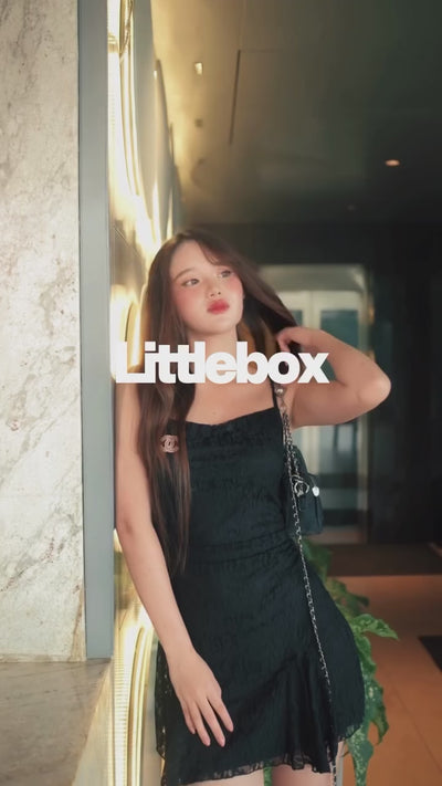 Video 1
