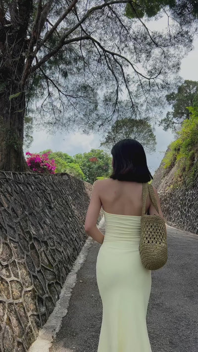 Video 1