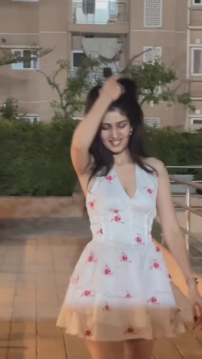 Video 1