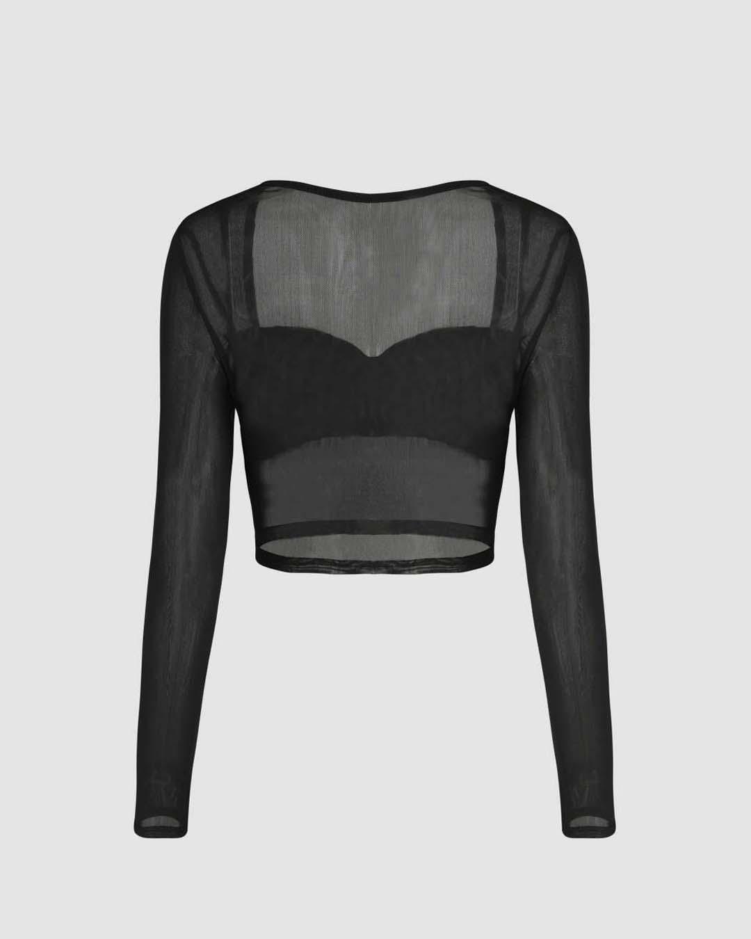Sheer Mesh Long Sleeve Crop Top In Black - Main Image